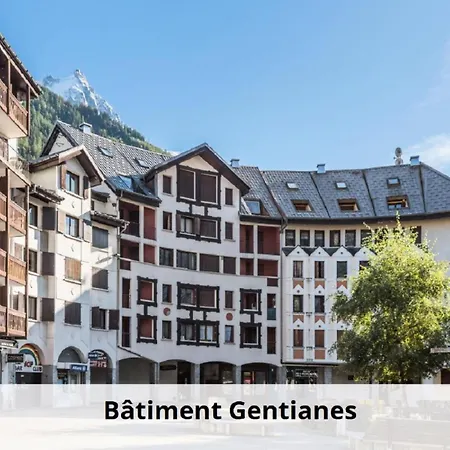 L'Aiguille - Maeva Home - 2 Pieces 5 Personnes Selection Mae-1179 Chamonix